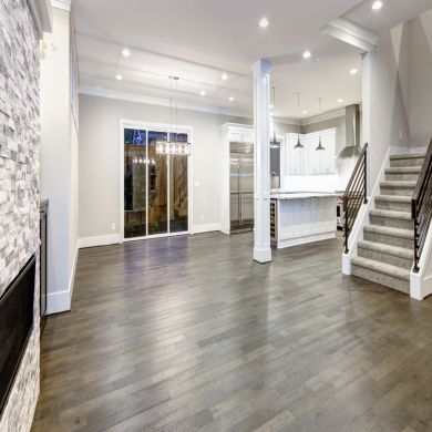 Our Gallery